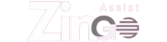Zingo Assist